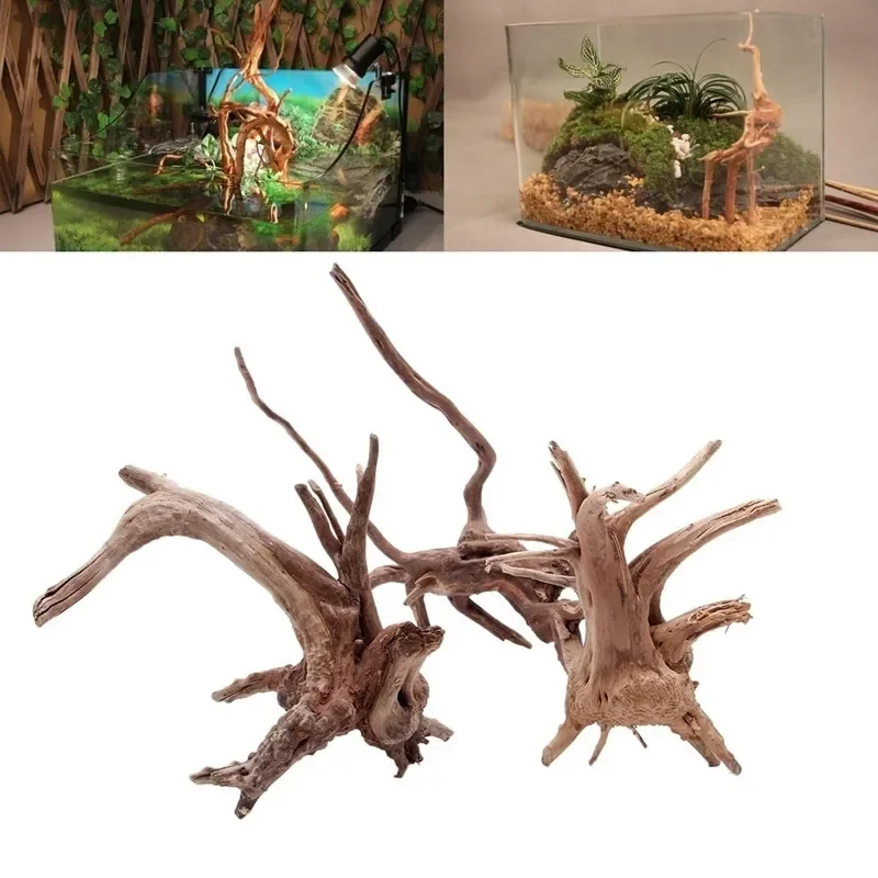 Aquarium Plant Guide - Natural Tree Trunk Driftwood Aquarium Fish