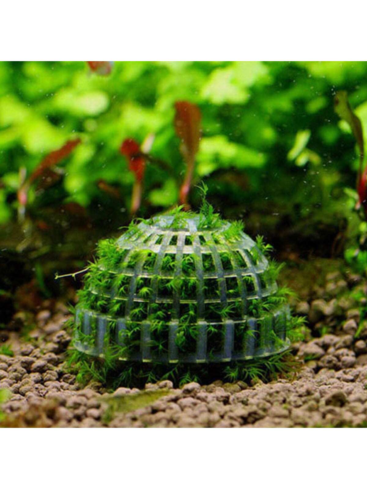 Aquarium Plant Design - Aquarium Moss Ball Planter Grid Design