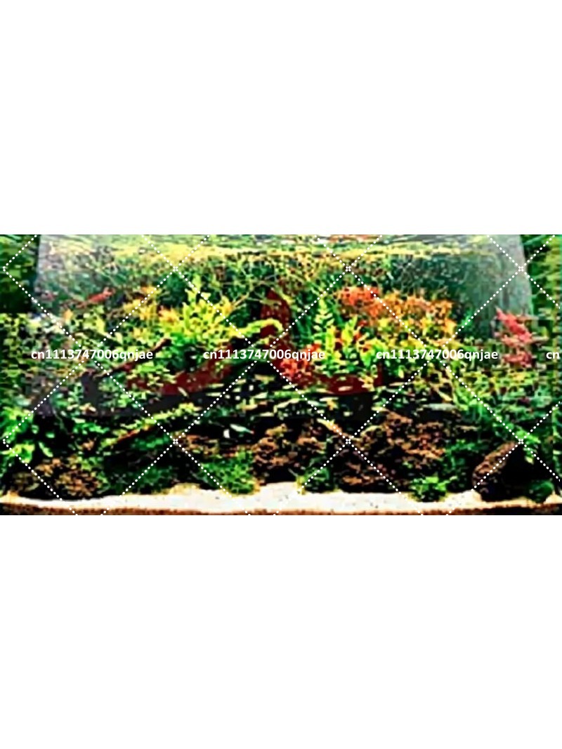 Non Planted Aquarium Fish - T5 HO Quad Marine Coral SPS