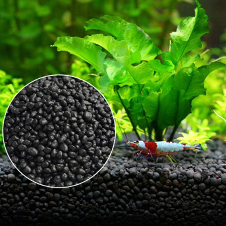 Planted Aquarium Supplies - Bể Cá Cảnh Vật Có Hạt