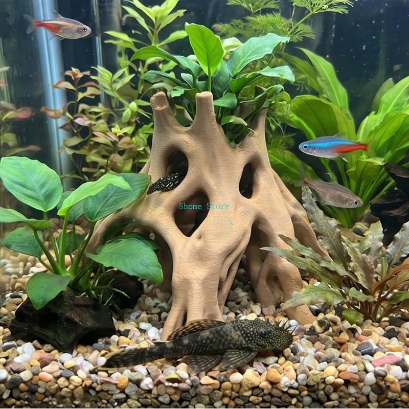 Rễ Tự Nhiên Hang Động Nơi Ẩn n - đánh giá và giá Aquarium Plant Guide
