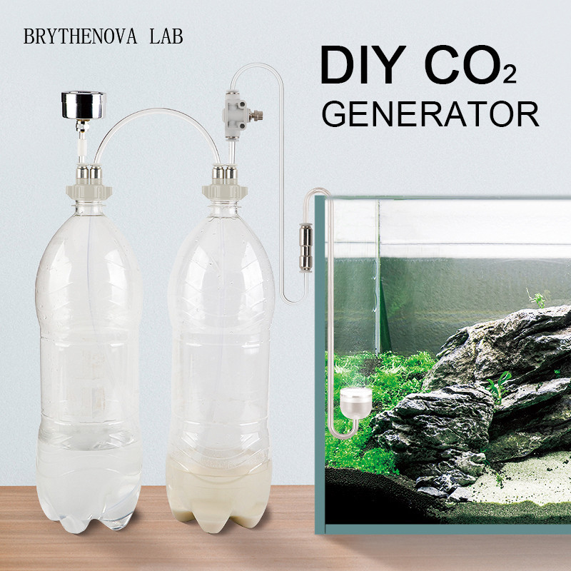 CO2 Generator Aquarium Planted - đánh giá và giá Planted Aquarium Co2 Kit