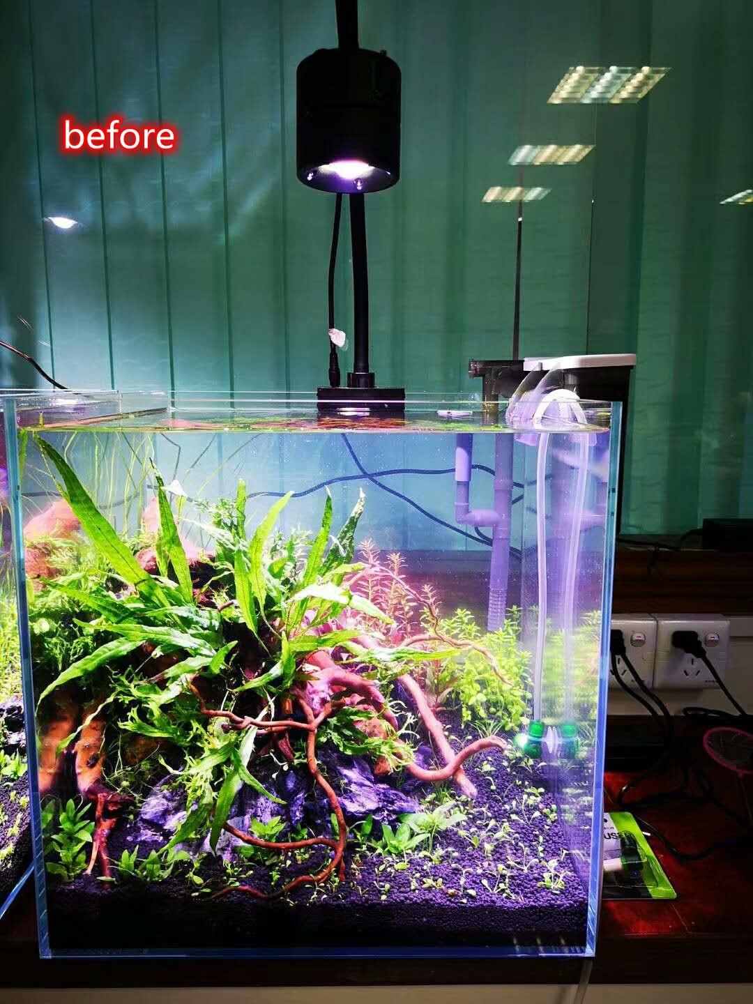 Newly Designed LED Light for P - đánh giá và giá Aquarium Plant Design