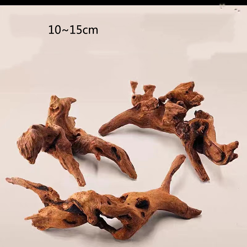 Natural Tree Trunk Aquarium De - đánh giá và giá Aquarium Plant Guide
