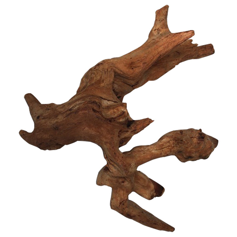 Natural Tree Trunk Aquarium De - đánh giá và giá Aquarium Plant Guide