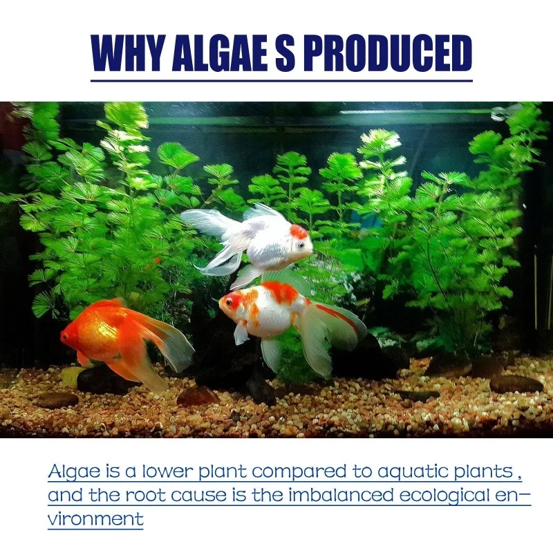 50g High Efficiency Algaecide  - đánh giá và giá Planted Aquarium Supplies