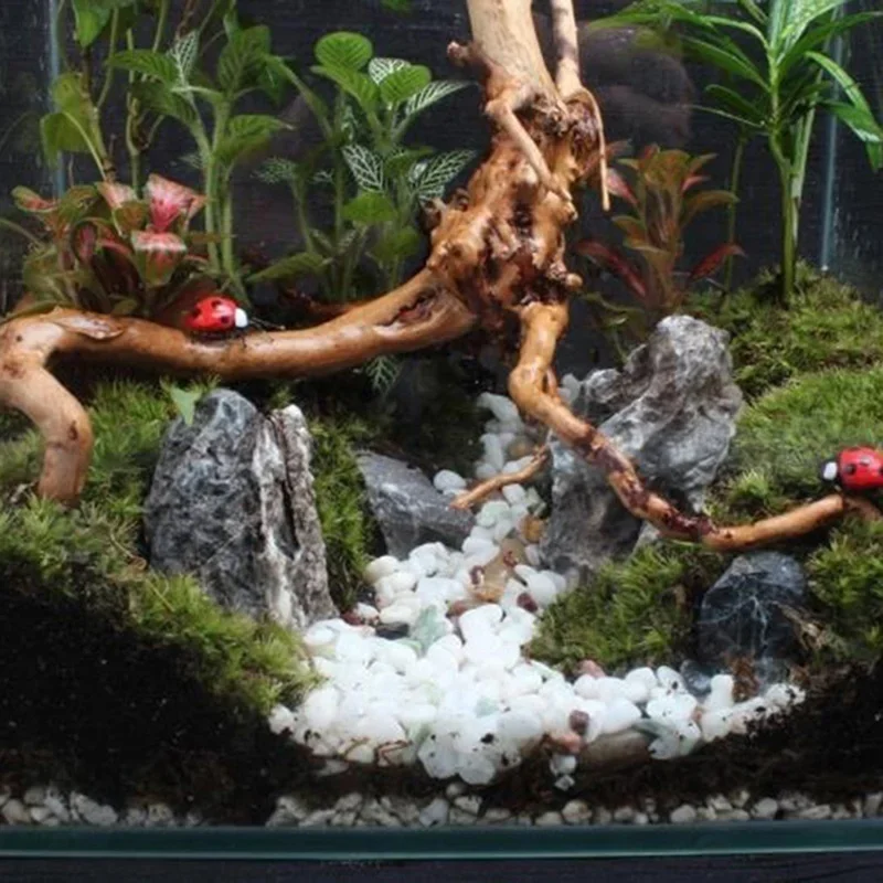 Natural Tree Trunk Driftwood A - đánh giá và giá Aquarium Plant Guide