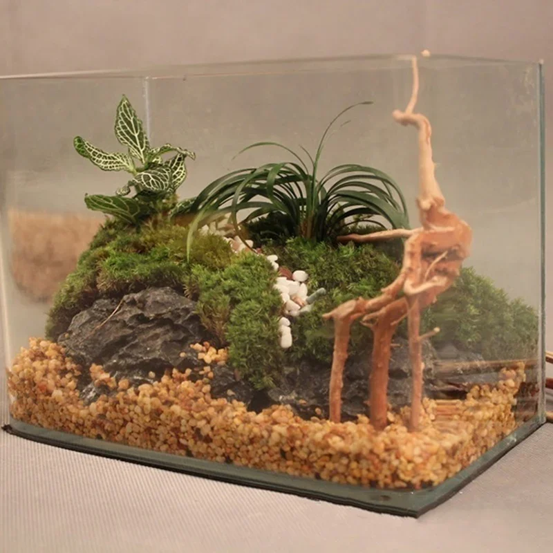 Natural Tree Trunk Driftwood A - đánh giá và giá Aquarium Plant Guide