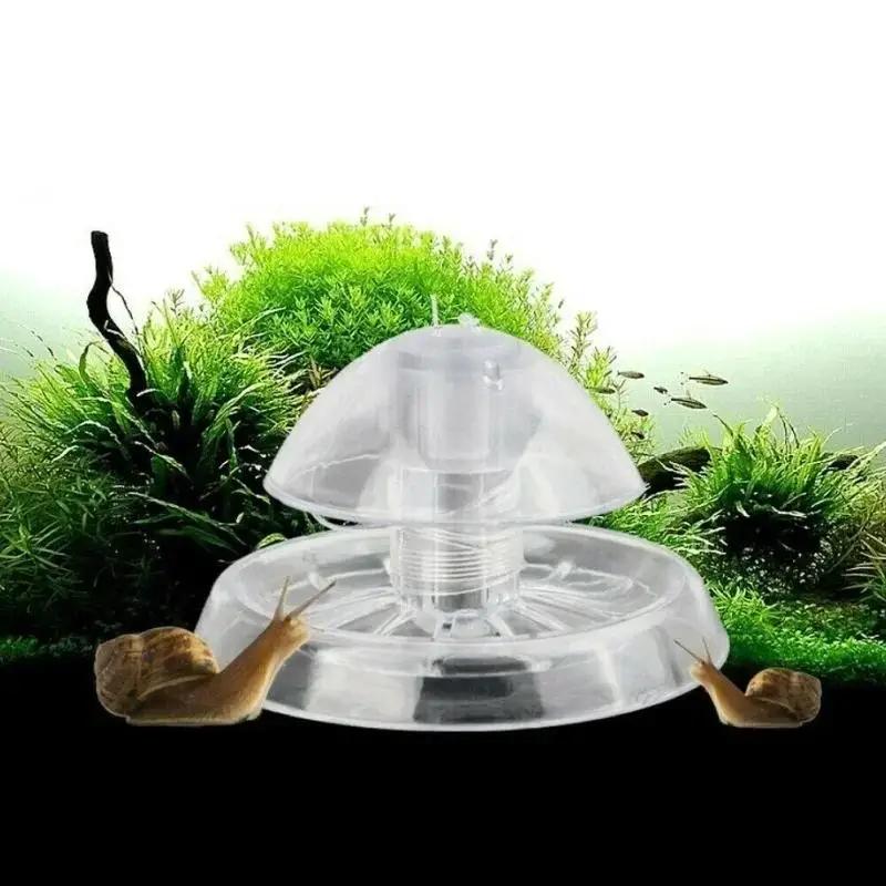2026 New 6/8CM Clear Plastic S - đánh giá và giá Planted Aquarium Supplies