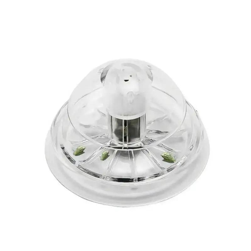 2026 New 6/8CM Clear Plastic S - đánh giá và giá Planted Aquarium Supplies