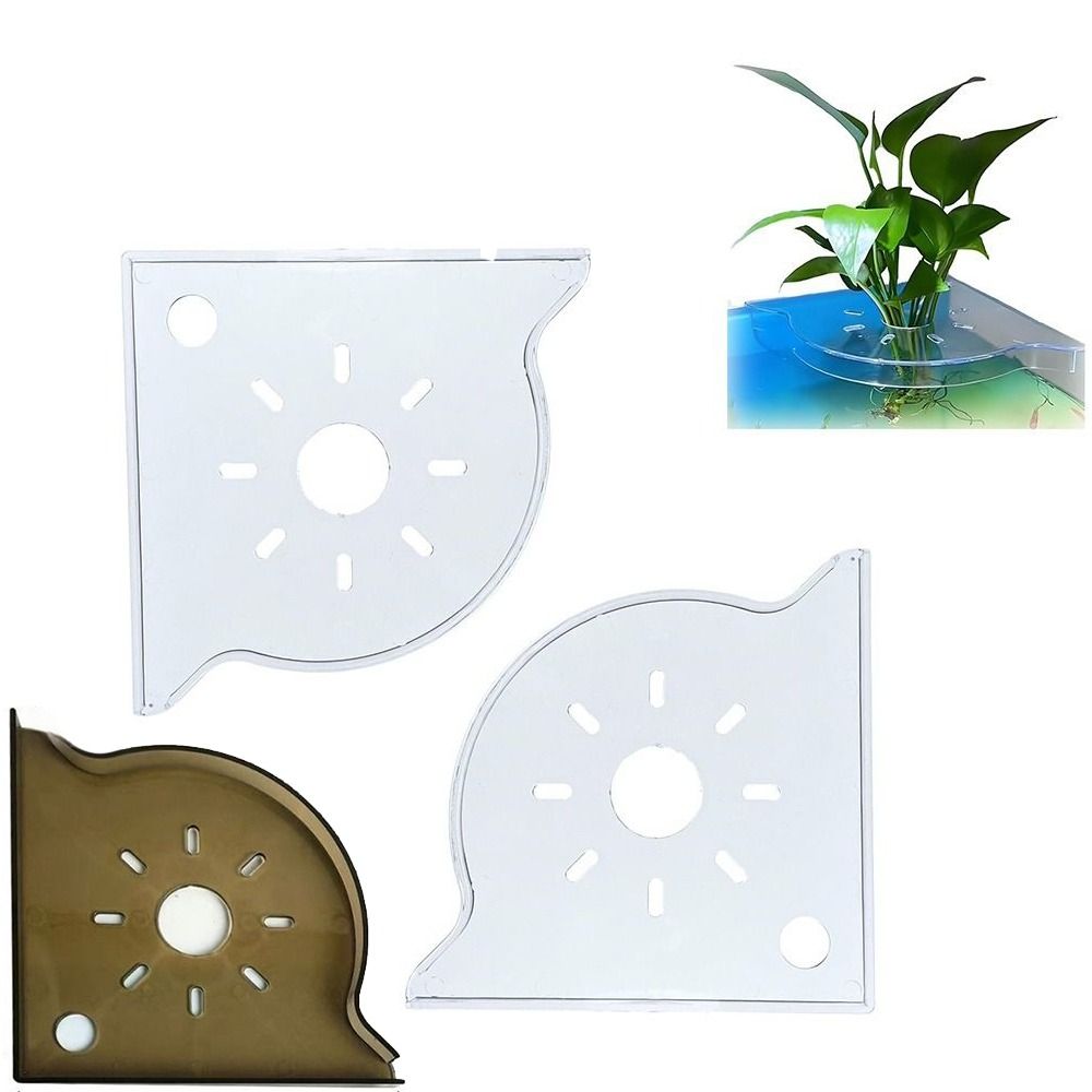 Triangle Corner Design Aquariu - đánh giá và giá Aquarium Plant Design