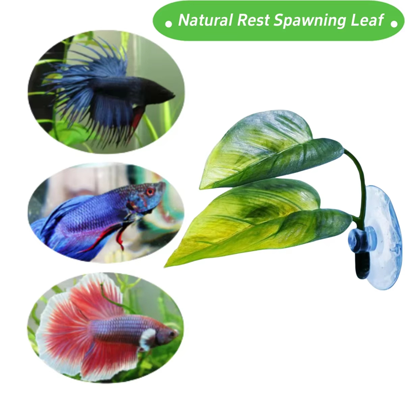 Aquarium Pet Supplies Decorati - đánh giá và giá Planted Aquarium Supplies