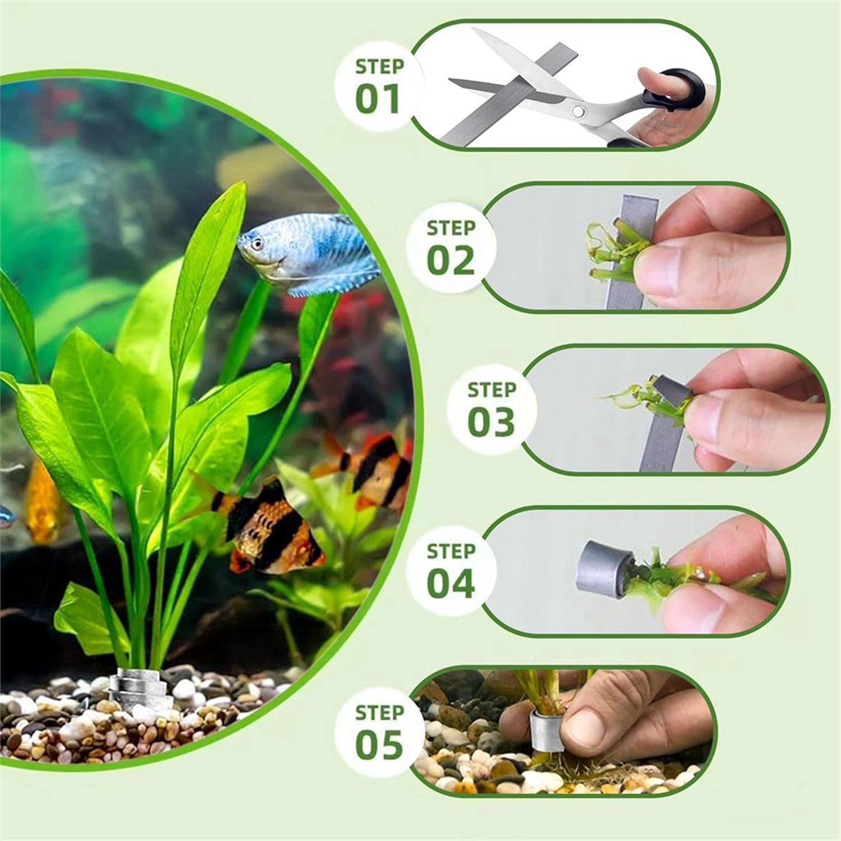 Utility Design Aquarium Plant  - đánh giá và giá Aquarium Plant Design