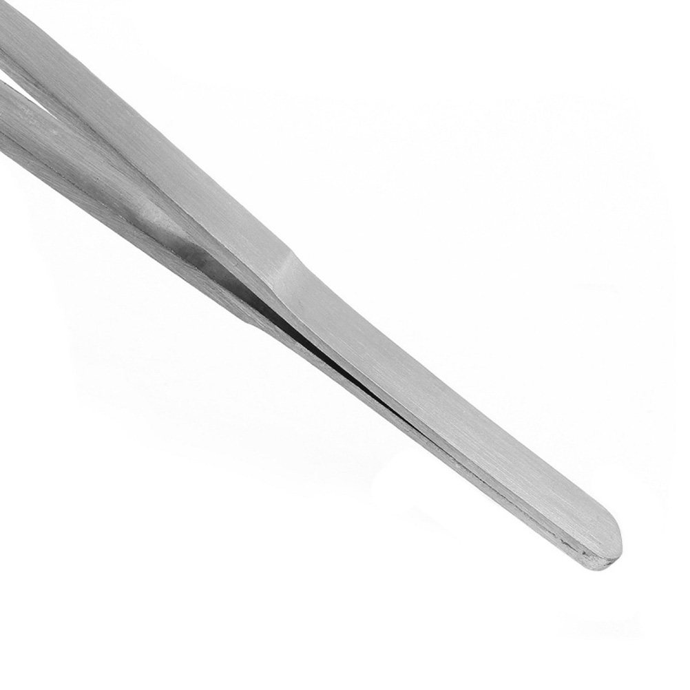 38 Cm Stainless Steel Straight - đánh giá và giá Aquarium Plant Design