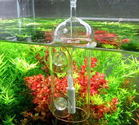 VIV Do Device Aquarium Cylinde - đánh giá và giá Planted Aquarium Supplies