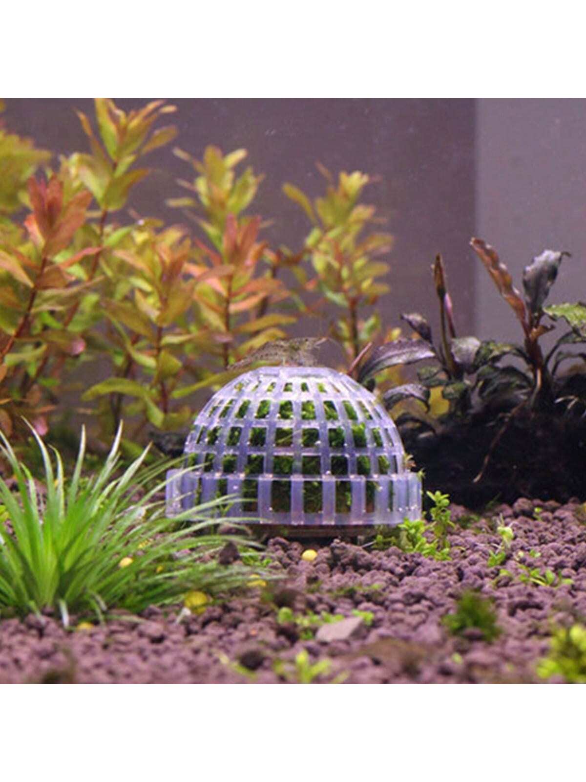 Aquarium Moss Ball Planter Gri - đánh giá và giá Aquarium Plant Design