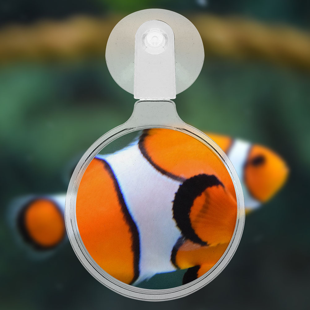 4Pcs Aquarium Magnifying Glass - đánh giá và giá Aquarium Plant Design