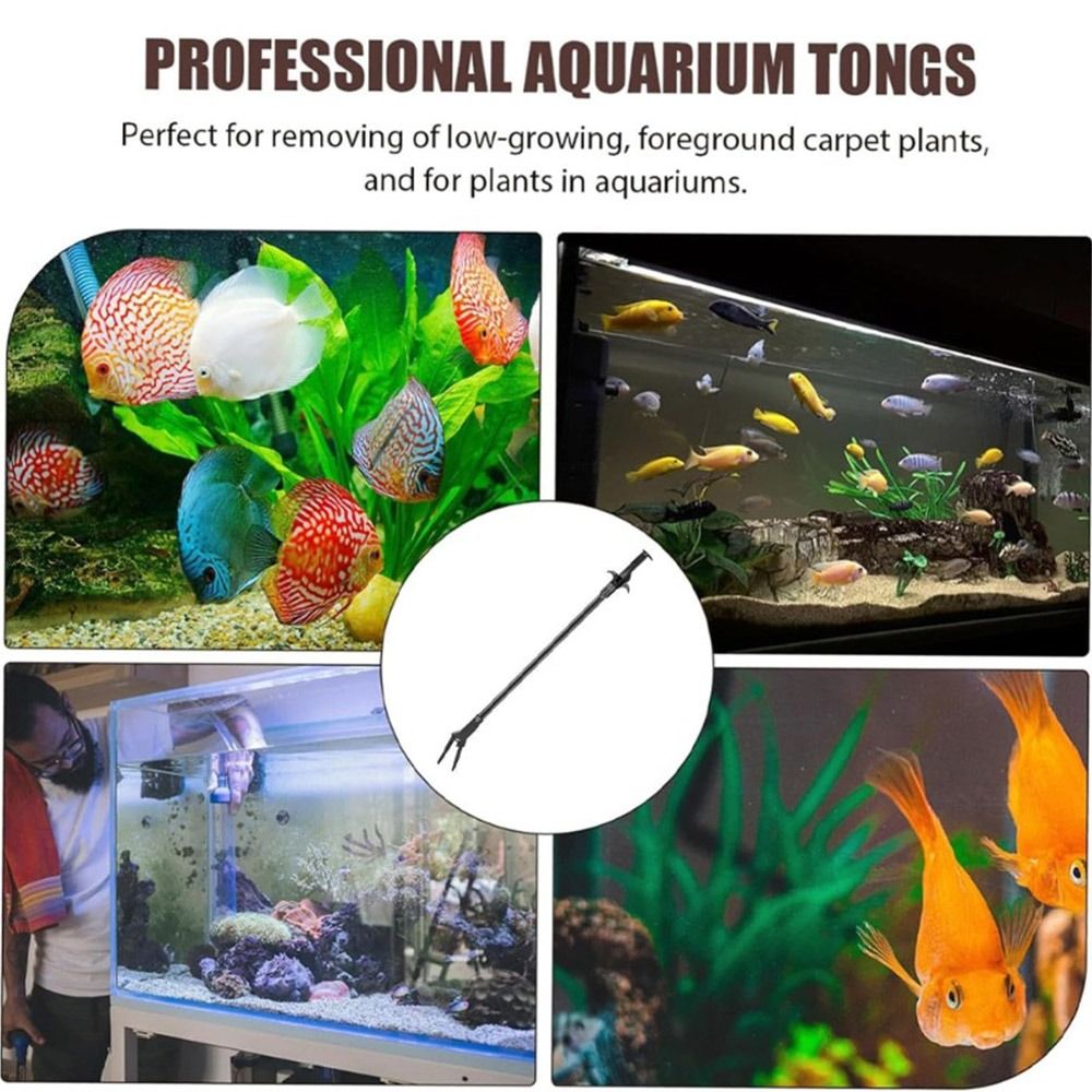 1Pcs 50cm Aquarium Plastic Twe - đánh giá và giá Non Planted Aquarium Fish