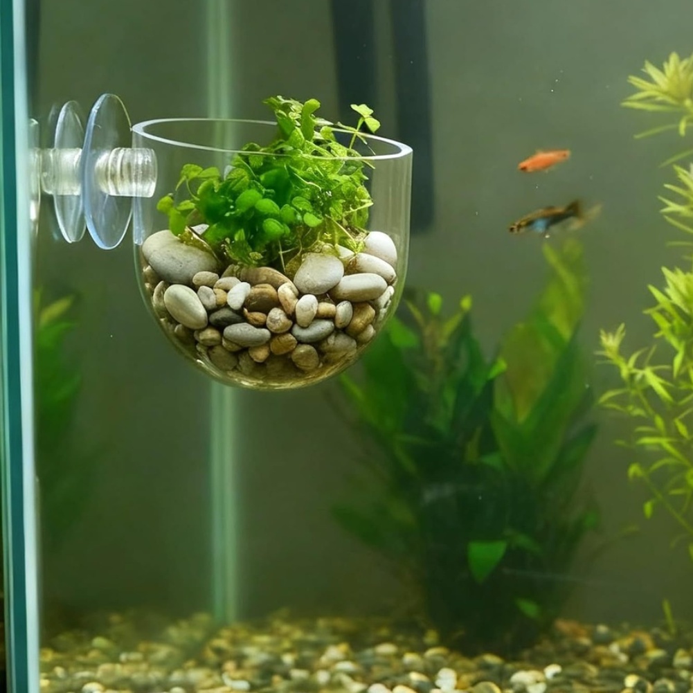 ABS Plant Holders for Aquarium - đánh giá và giá Aquarium Plant Design