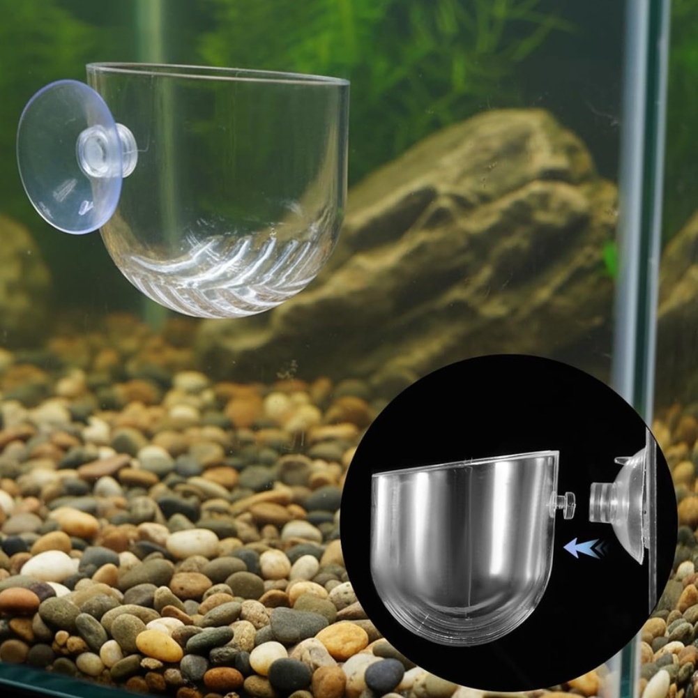 ABS Plant Holders for Aquarium - đánh giá và giá Aquarium Plant Design