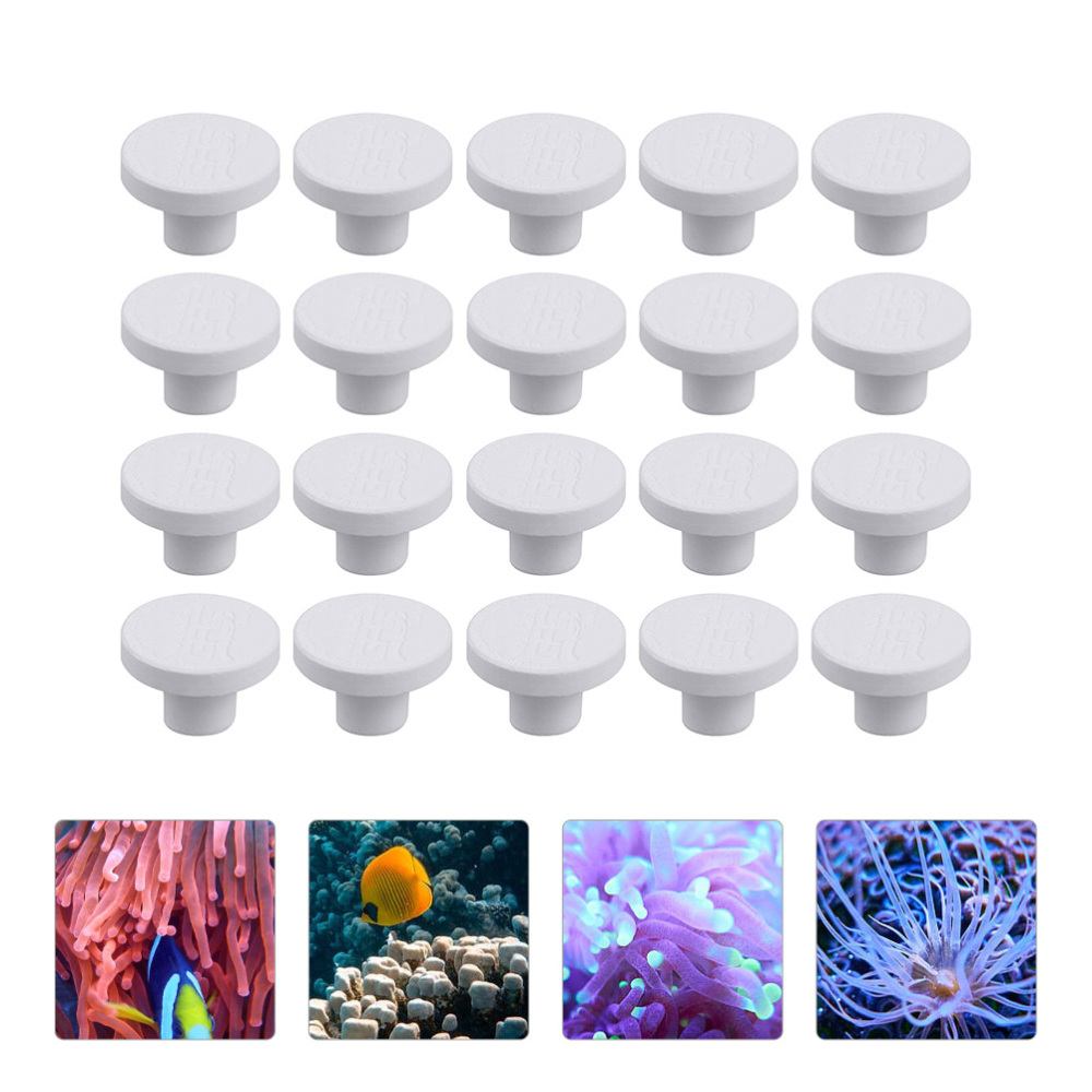 SPS Ceramic Coral Frag Plugs B - đánh giá và giá Aquarium Plant Ornament