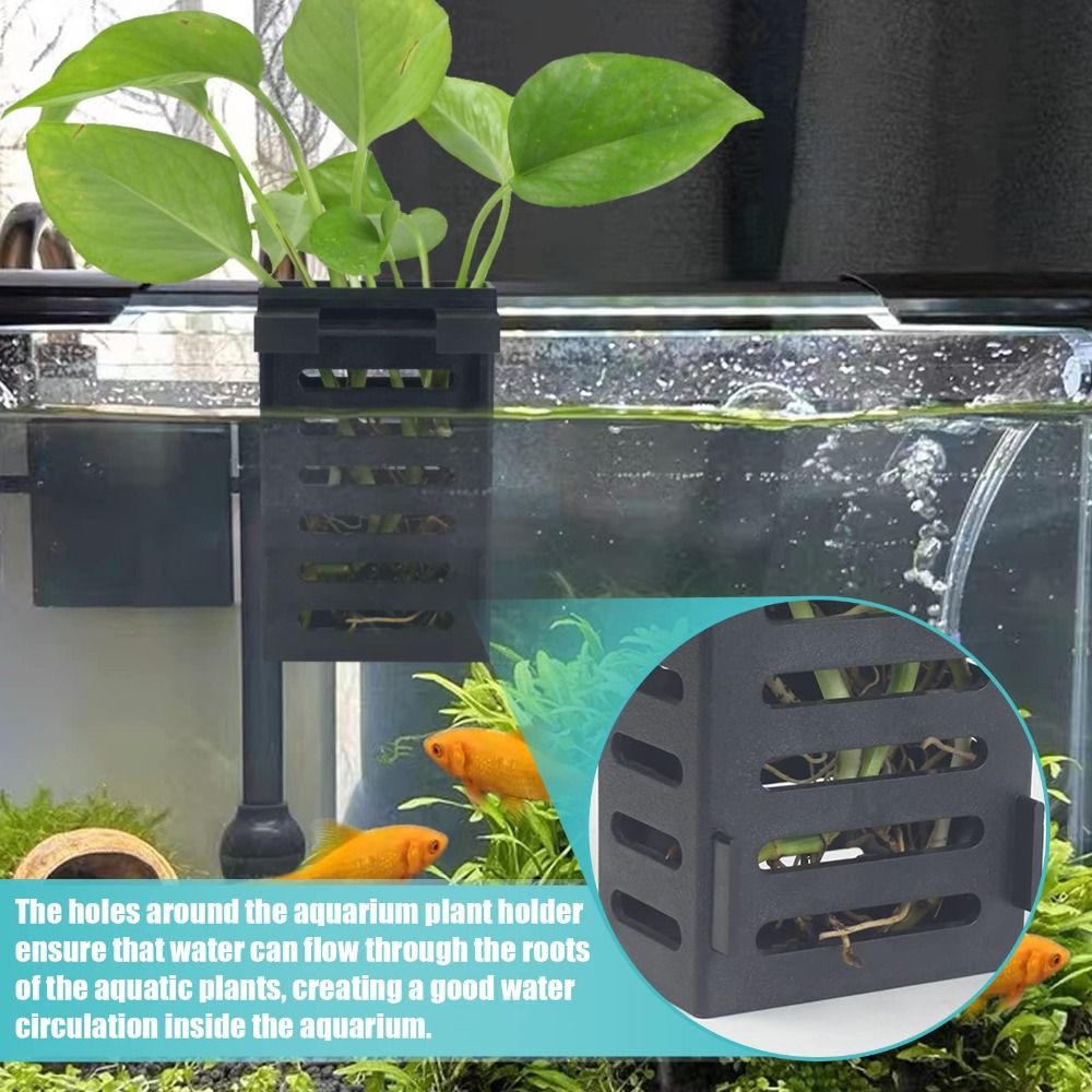 Water Plant Landscape Aquarium - đánh giá và giá Emersed Plants Aquarium