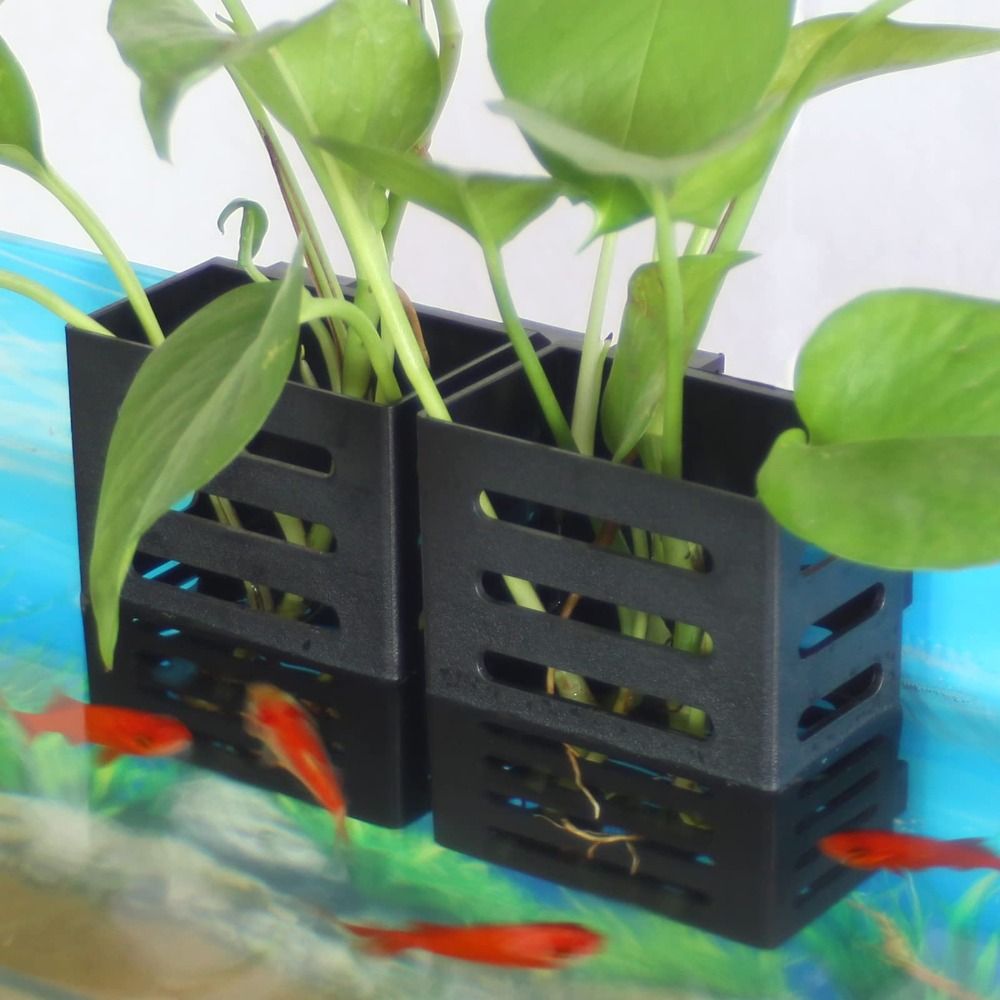 Hydroponic Aquarium Glass Plan - đánh giá và giá Emersed Plants Aquarium