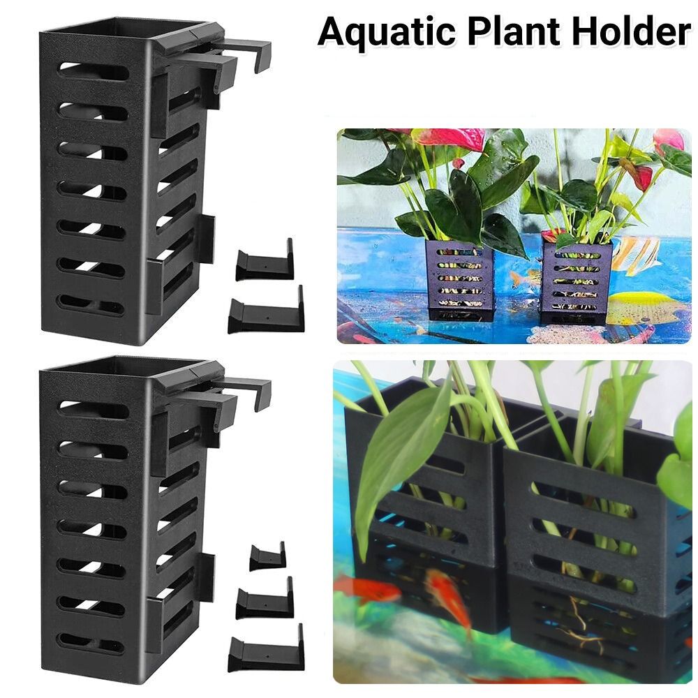 Hydroponic Aquarium Glass Plan - đánh giá và giá Emersed Plants Aquarium