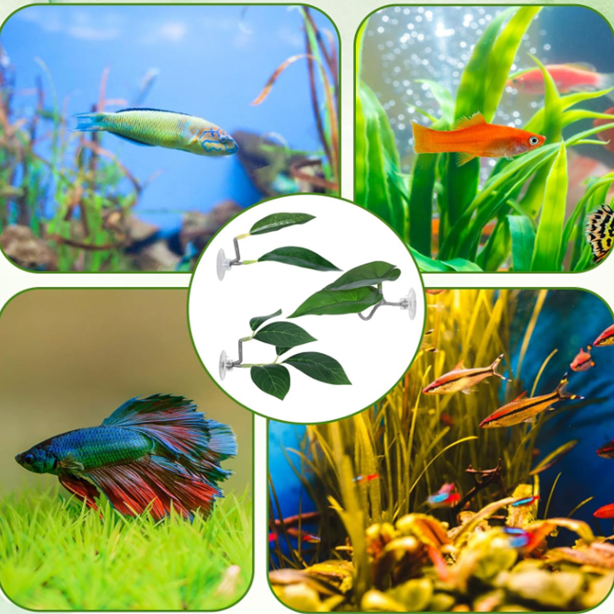 1 PC Betta Fish Hammock Soft A - đánh giá và giá Aquarium Plant Ornament