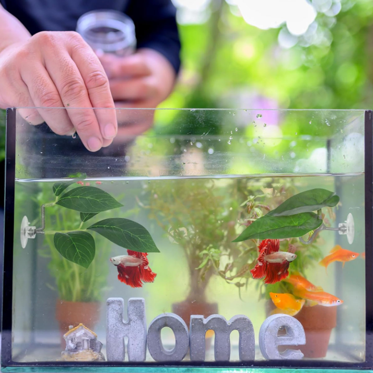 1 PC Betta Fish Hammock Soft A - đánh giá và giá Aquarium Plant Ornament