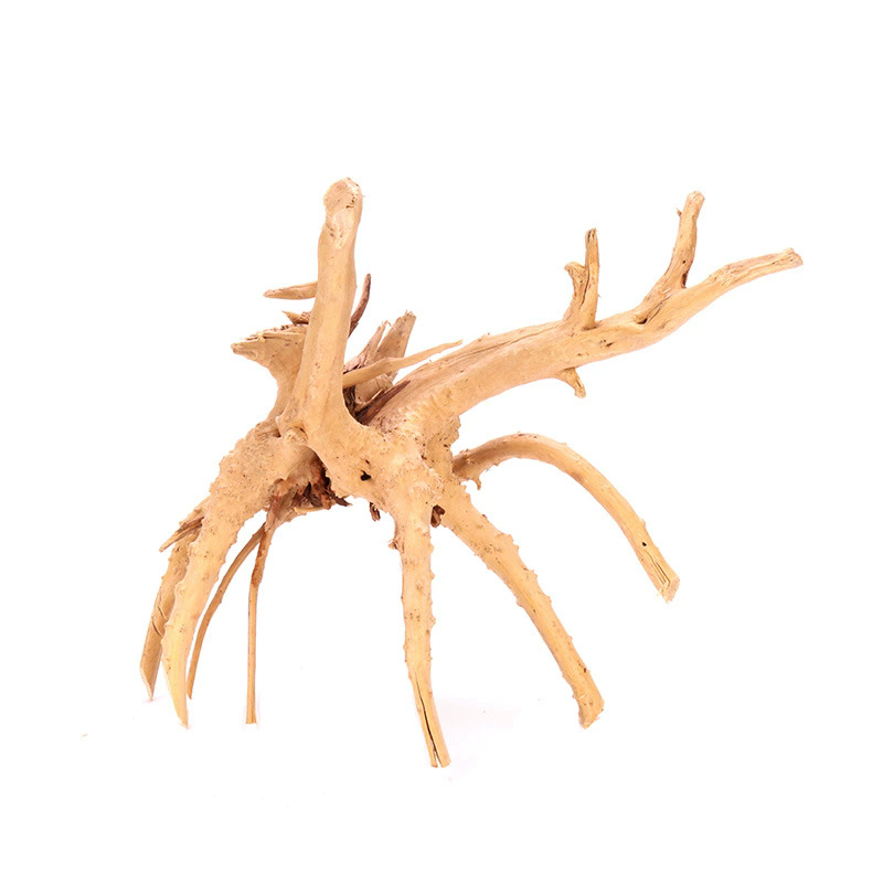 4PCS Natural Wooden Fish Tank  - đánh giá và giá Aquarium Plant Guide