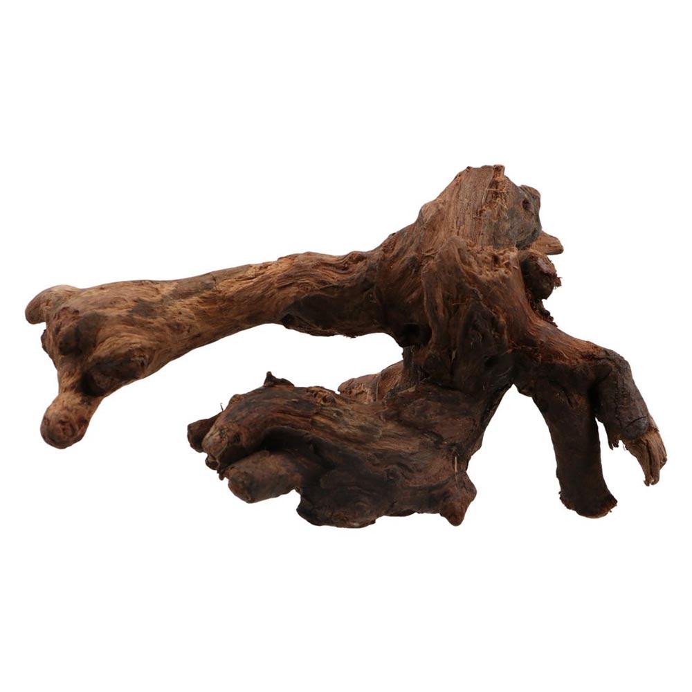 Creative Irregular Shape Coral - đánh giá và giá Aquarium Plant Guide