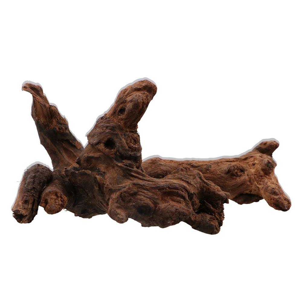 Creative Irregular Shape Coral - đánh giá và giá Aquarium Plant Guide