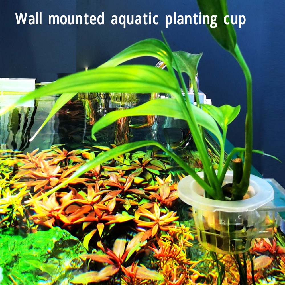 Adjustable Holder Aquarium Pla - đánh giá và giá Aquarium Plant Design
