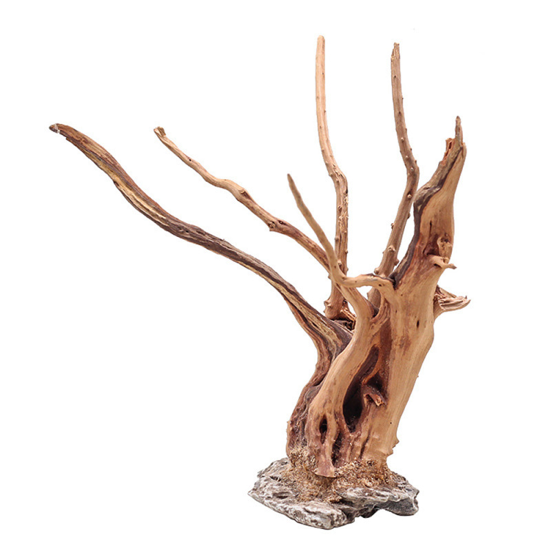 1 Bể Cá Cảnh Quan Gỗ Đồ Trang  - đánh giá và giá Aquarium Plant Guide