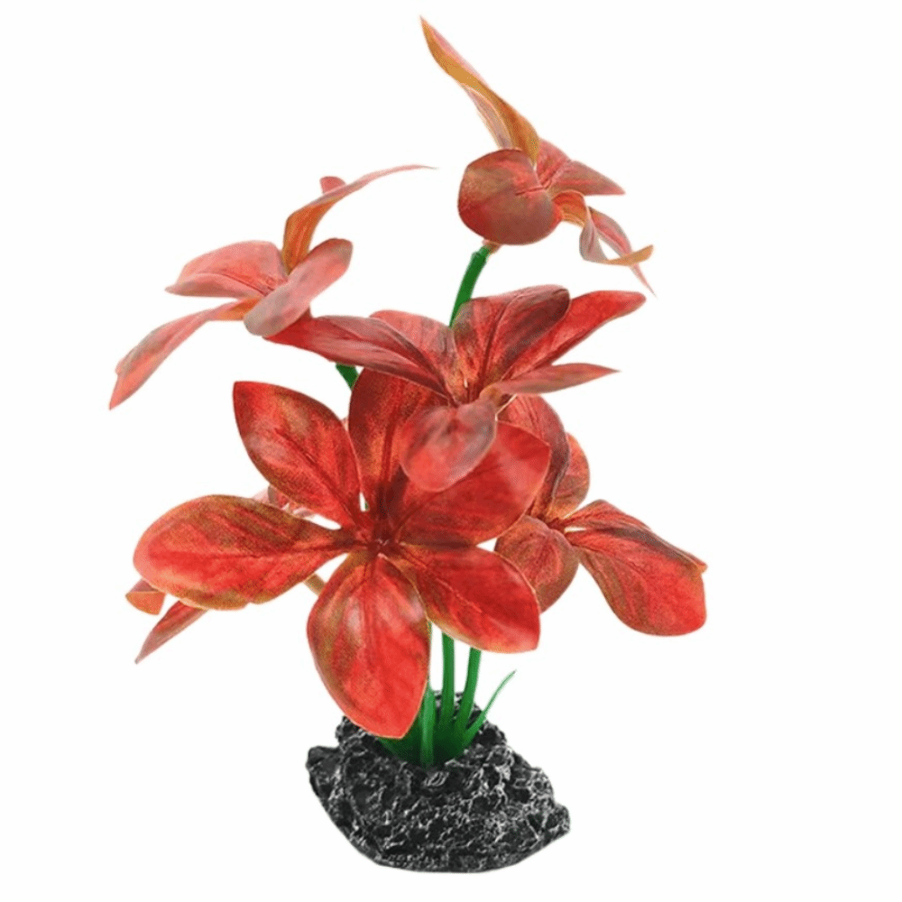 Plastic Material Aquarium Plan - đánh giá và giá Aquarium Plant Design