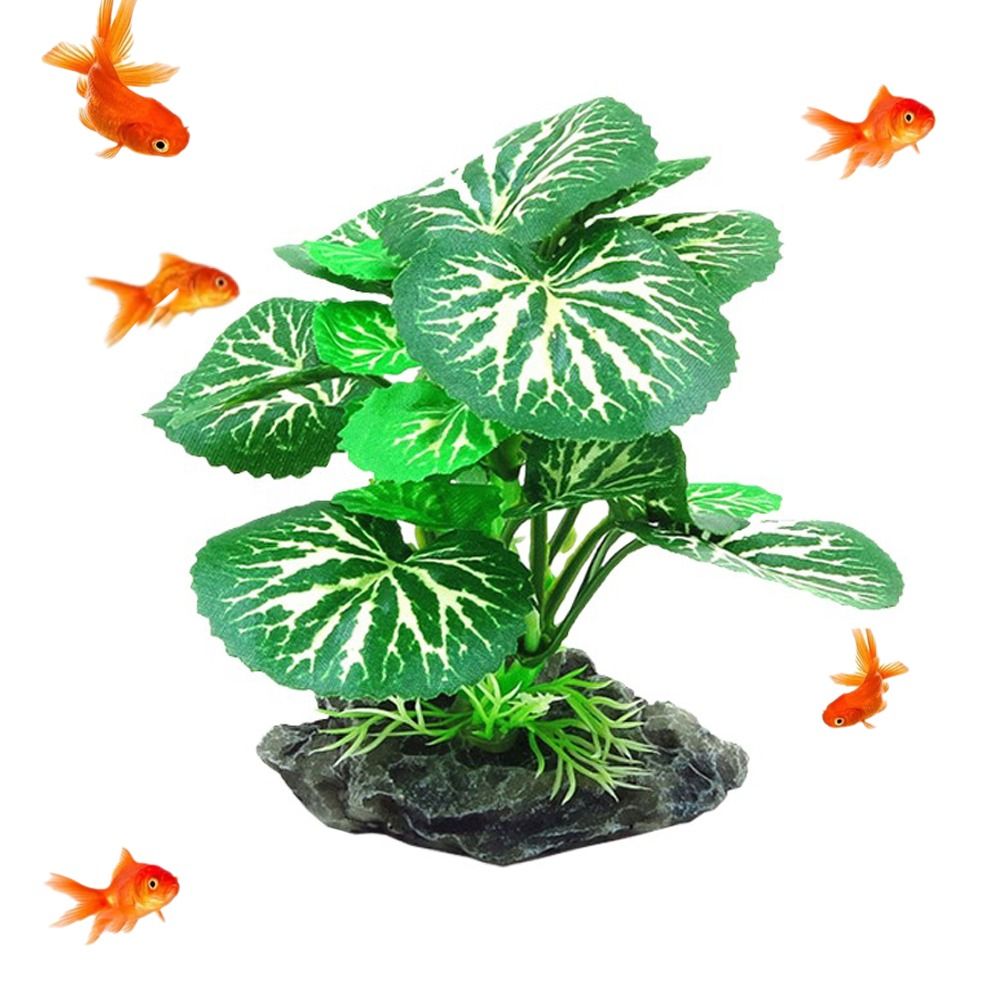 Plastic Material Aquarium Plan - đánh giá và giá Aquarium Plant Design