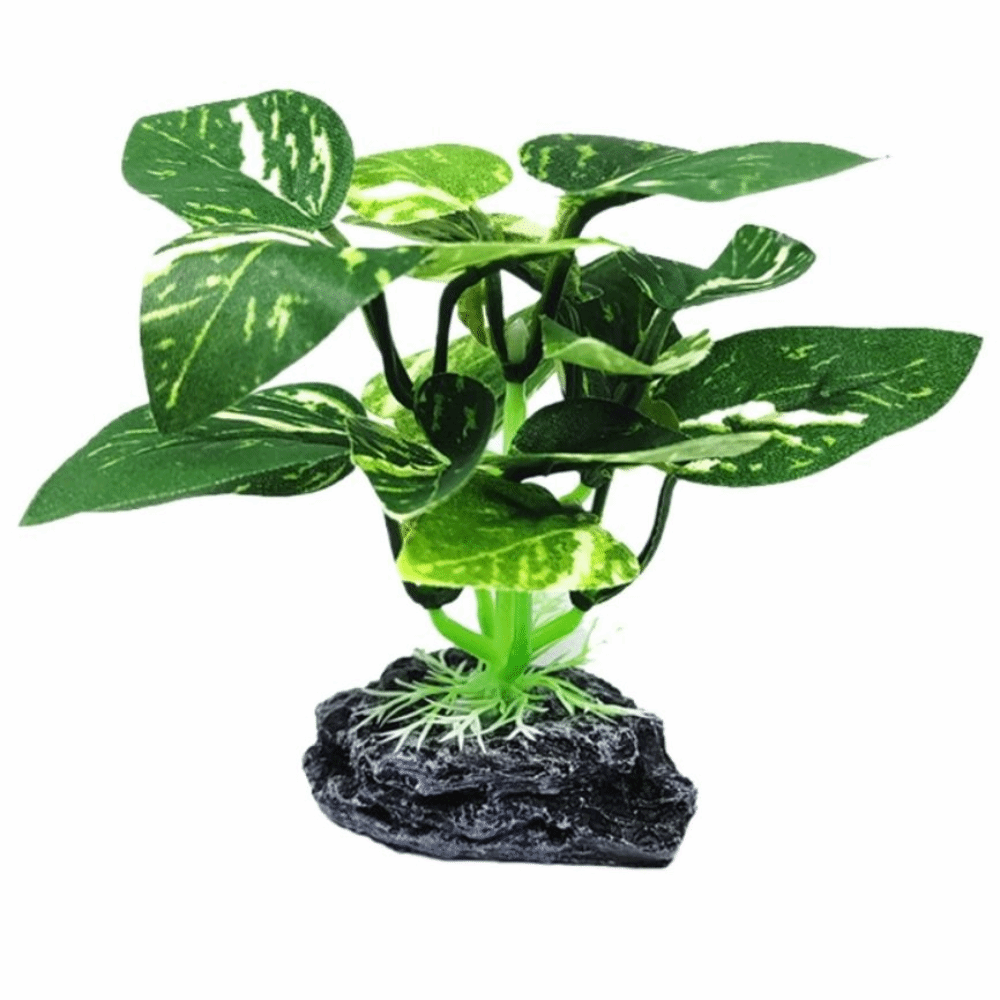Plastic Material Aquarium Plan - đánh giá và giá Aquarium Plant Design