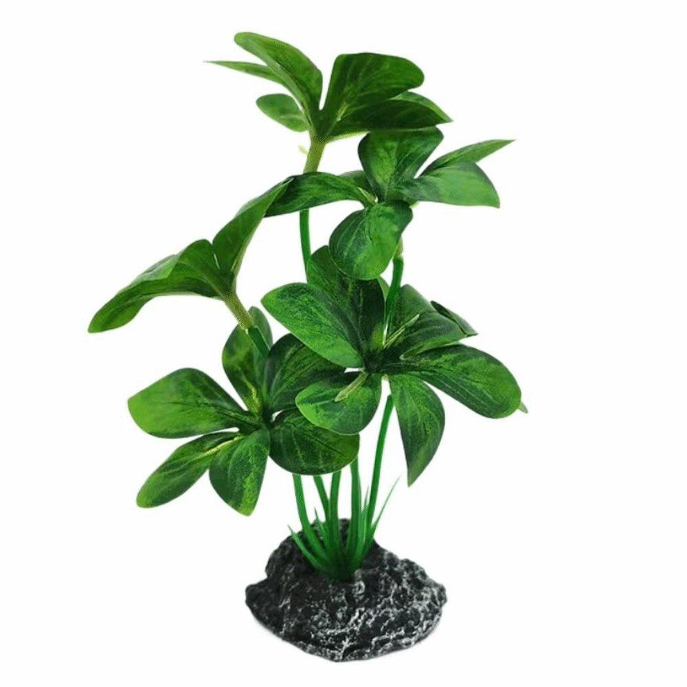 Plastic Material Aquarium Plan - đánh giá và giá Aquarium Plant Design