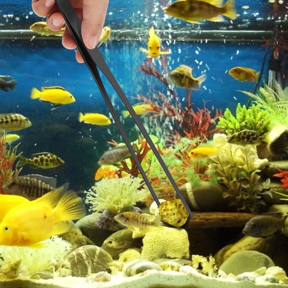Stainless Steel Long Aquarium  - đánh giá và giá Non Planted Aquarium Fish