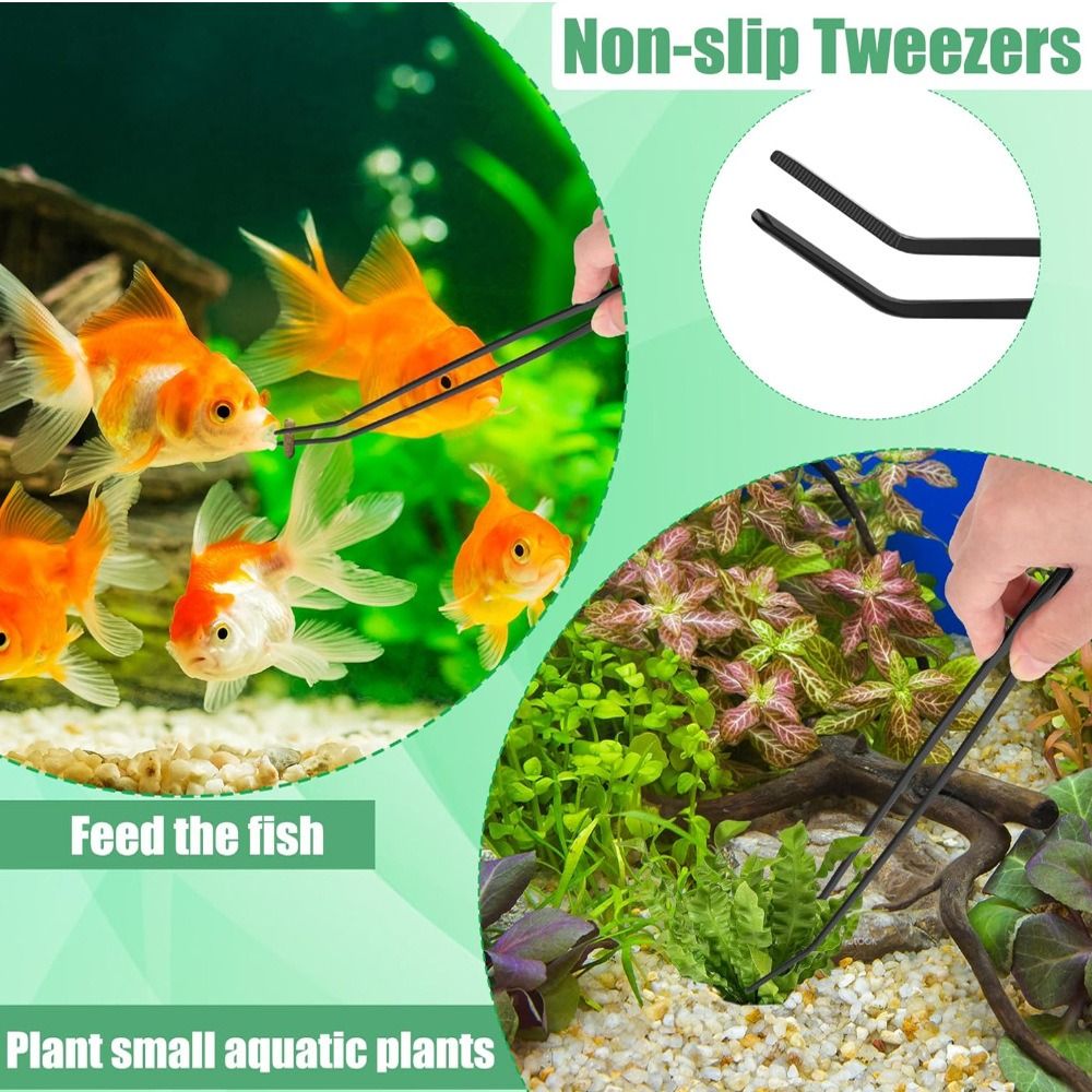 Stainless Steel Long Aquarium  - đánh giá và giá Non Planted Aquarium Fish