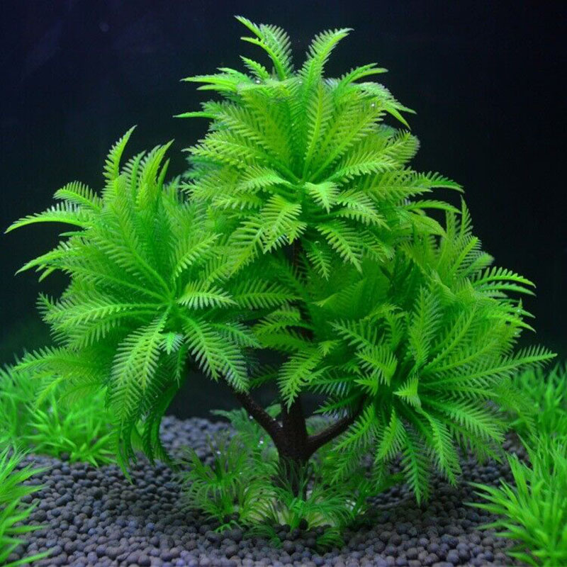 Aquarium Decorative Simulation - đánh giá và giá Aquarium Plant Guide