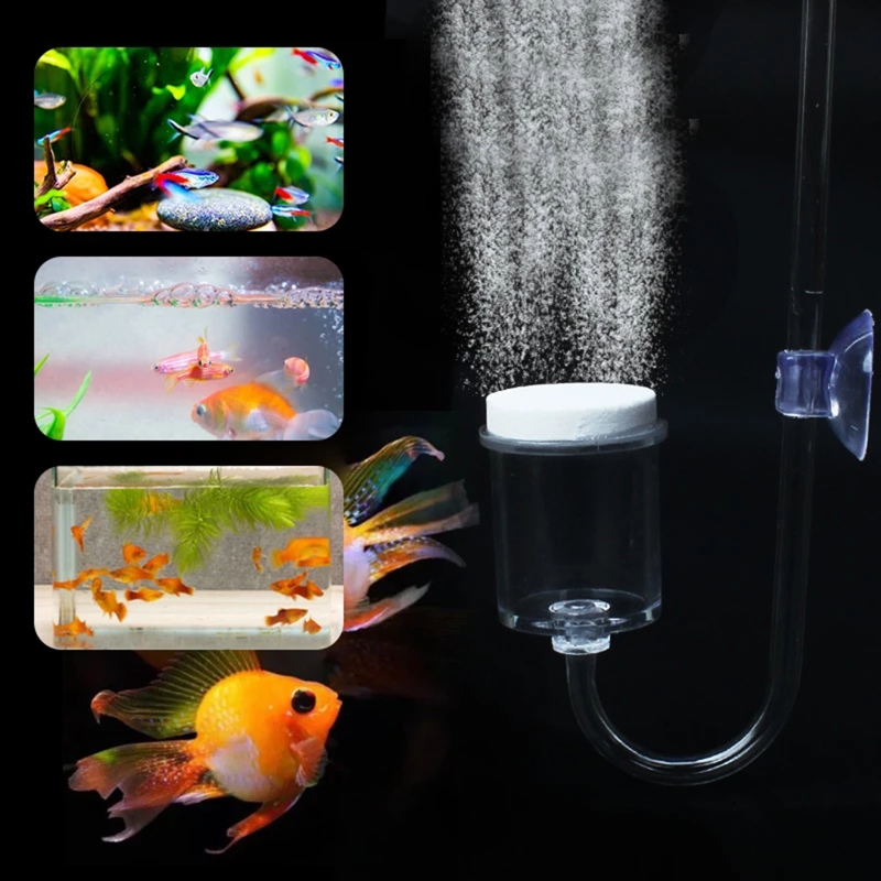 4pcs Set DIY CO2 Diffuser For  - đánh giá và giá Planted Aquarium Supplies