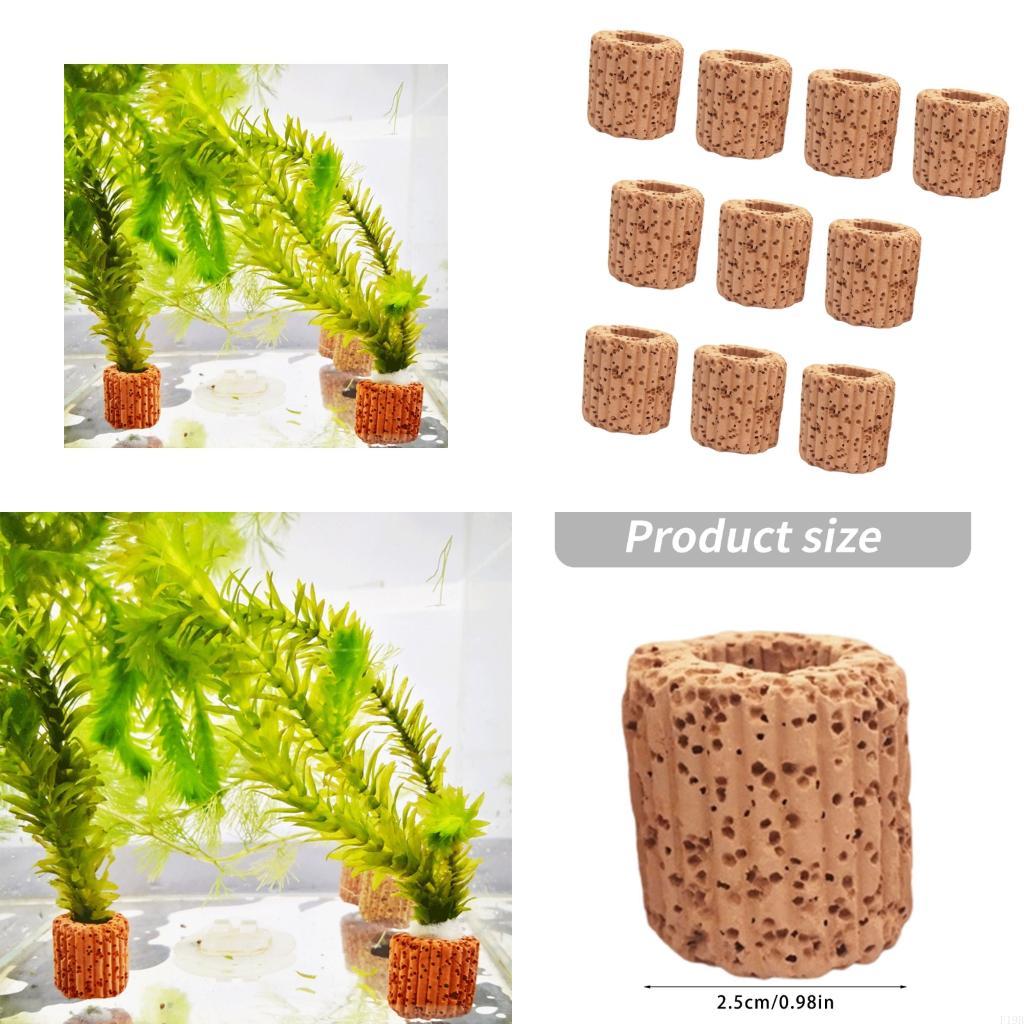 F19B Bể Cá Thực Vật Giữ Nuôi T - đánh giá và giá Emersed Plants Aquarium