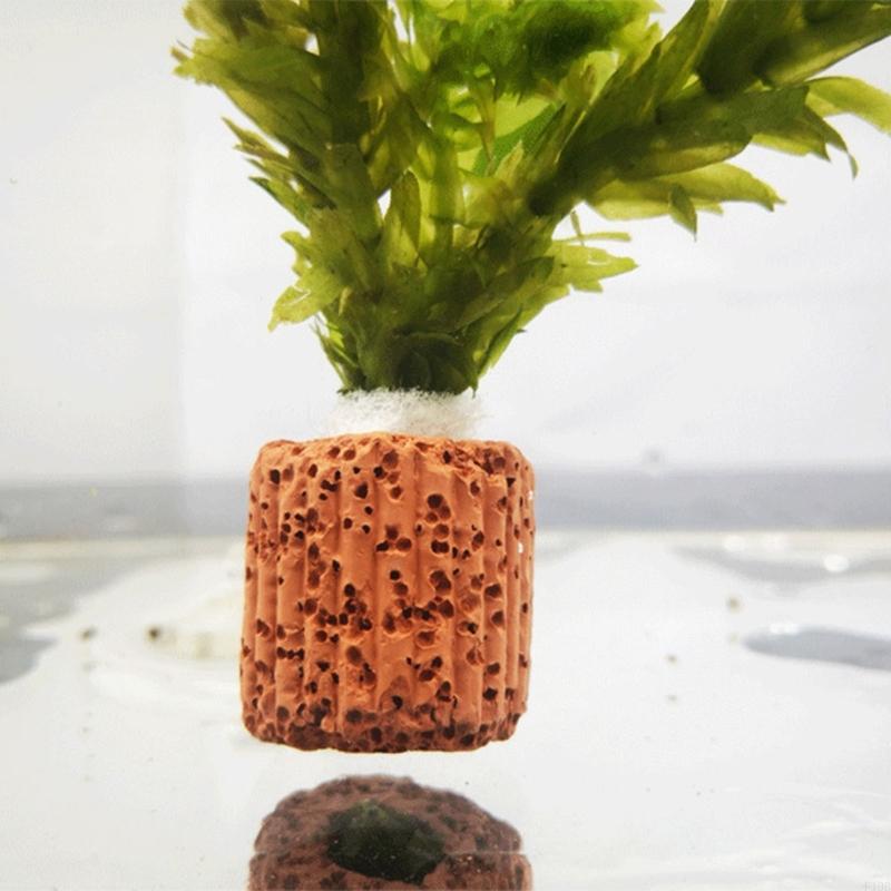 F19B Bể Cá Thực Vật Giữ Nuôi T - đánh giá và giá Emersed Plants Aquarium
