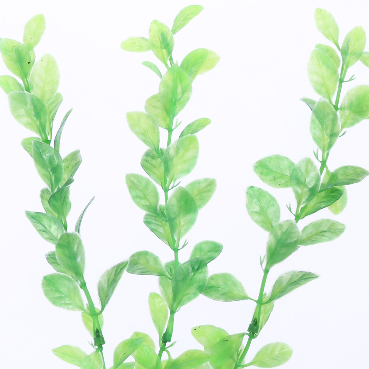 3Pcs Fish Tank Artificial Gree - đánh giá và giá Non Planted Aquarium Fish